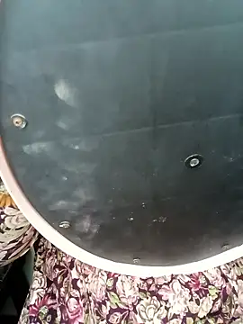 Marathi gavtami online show from 8, 1, 2026