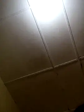 Expose Queen online show from 17, 11, 2025