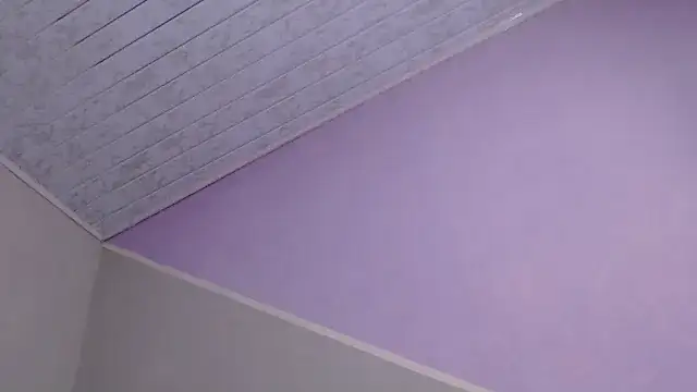 VioletGil Party  online show from 20, 12, 2025