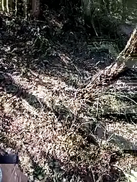 228fucker online show from 8, 1, 2026