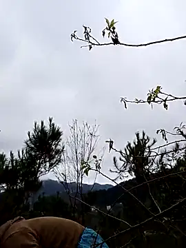 siusiu-00 online show from 19, 11, 2025