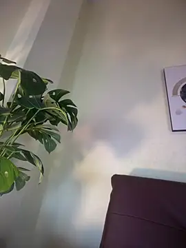 NovaFoxx online show from 15, 2, 2026