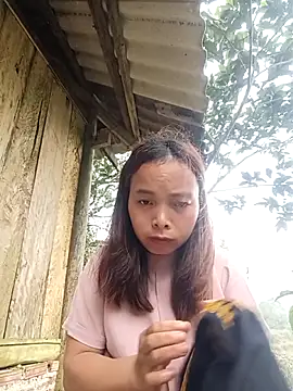 Nguyet2k4 online show from 2, 3, 2026