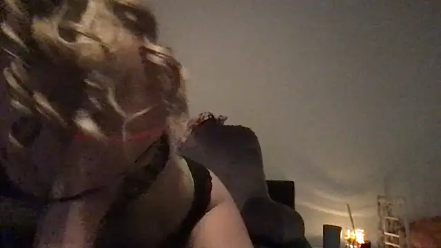 wet alleycat online show from 15, 5, 2026