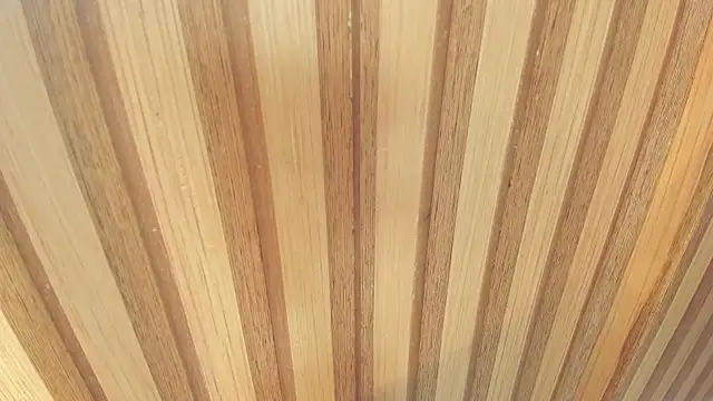 mia  blaze   online show from 22, 12, 2025