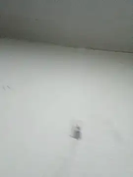 Snapshot of Nonname3 chatting on 11, 11, 2025 Nonname3 online show from 11, 11, 2025