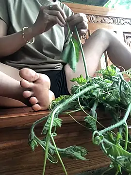 Kylie beem online show from 25, 4, 2026