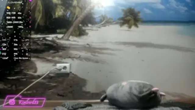 Snapshot of kimberd33 chatting on 26, 2, 2026 kimberd33 online show from 26, 2, 2026