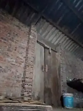  LAN  online show from 26, 3, 2026