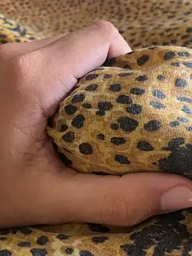 StrandedTrident online show from 18, 4, 2026