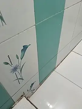 naveen 3222 online show from 29, 10, 2025