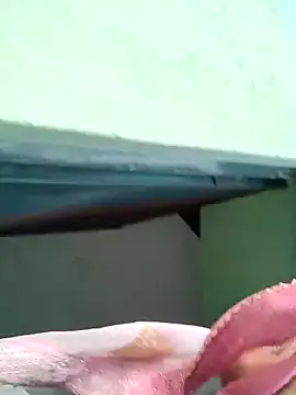Snapshot of Bhumika_Love chatting on 11, 11, 2025 Bhumika Love online show from 11, 11, 2025
