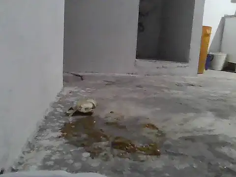 jupiter 333 online show from 8, 1, 2026