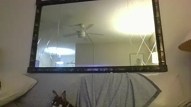 KosherCo313 online show from 23, 11, 2025