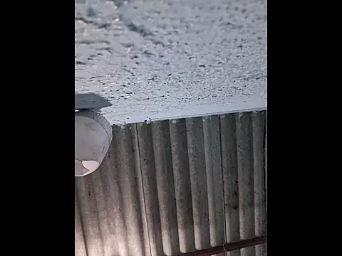 666Daemon666 online show from 10, 4, 2026