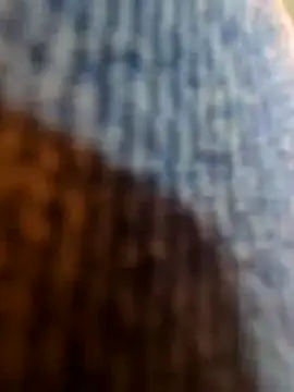 vivodan online show from 4, 11, 2025