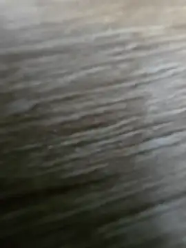 vivodan online show from 4, 4, 2026