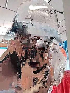 Snapshot of LAPOTRA_04 chatting on 1, 4, 2026 LAPOTRA 04 online show from 1, 4, 2026