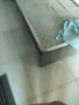 Telugus online show from 7, 11, 2025