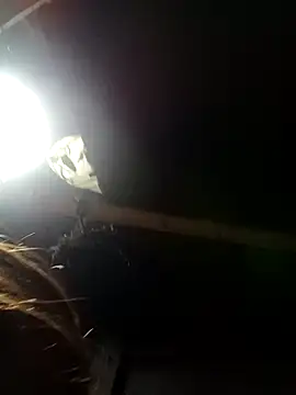 bella-la online show from 9, 2, 2026