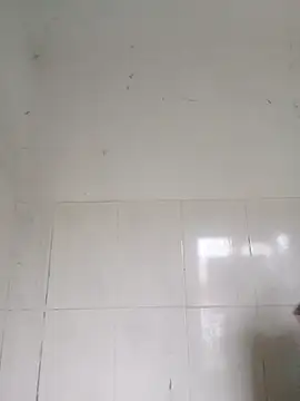 bella-la online show from 12, 2, 2026