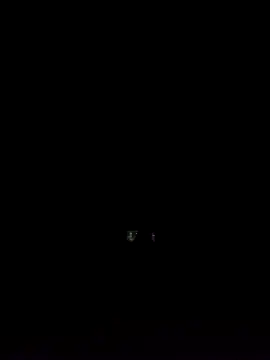 Georgette466 online show from 6, 2, 2026