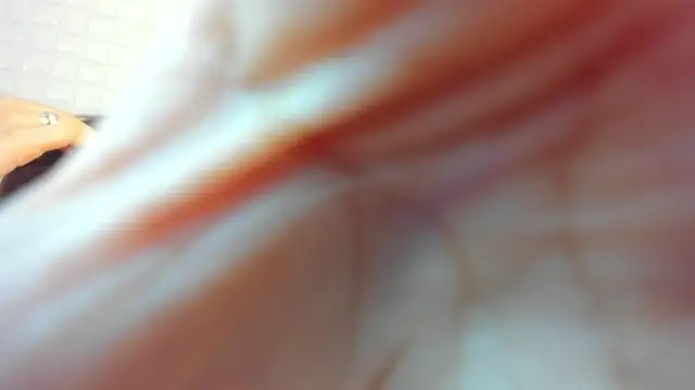 victoria 243 online show from 23, 2, 2026