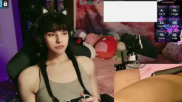 BimboCat online show from 22, 11, 2025