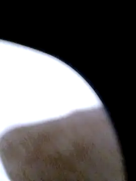 pino870 online show from 20, 2, 2026