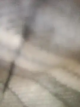 Snapshot of Pallu_Asha chatting on 1, 3, 2026 Pallu Asha online show from 1, 3, 2026