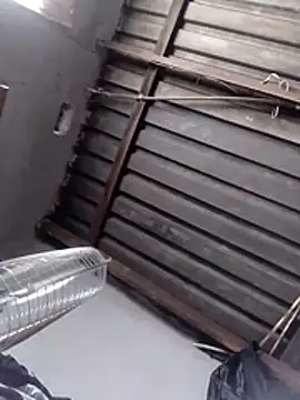 Snapshot of Teddypuer chatting on 2, 11, 2025 Teddypuer online show from 2, 11, 2025