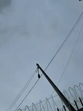 Samantha firee online show from 13, 4, 2026