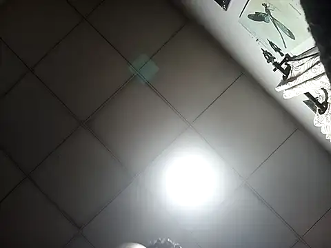 DK 9396 online show from 17, 11, 2025