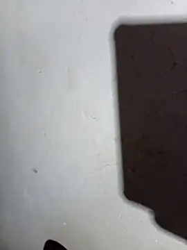 DK 9396 online show from 23, 4, 2026