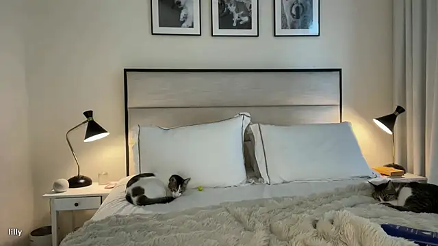 Snapshot of Itslillybloom chatting on 7, 11, 2025 Itslillybloom online show from 7, 11, 2025