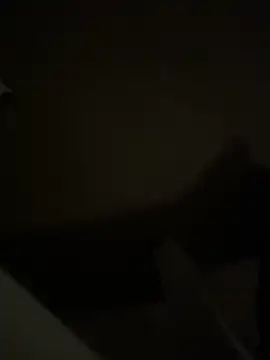 hensydh online show from 2, 11, 2025