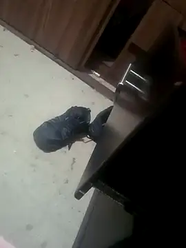 Yerackhip online show from 17, 1, 2026