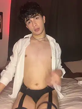 Snapshot of lion_cherry21 chatting on 4, 11, 2025 lion cherry21 online show from 4, 11, 2025