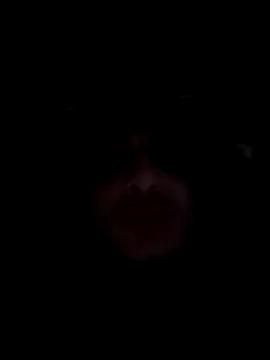 jiggy823 online show from 16, 12, 2025