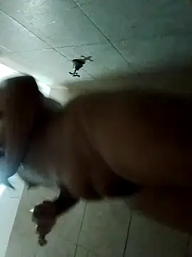 Snapshot of rebelde502 chatting on 12, 11, 2025 rebelde502 online show from 12, 11, 2025