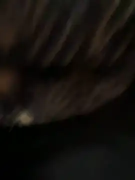 Snapshot of caramello-48888 chatting on 7, 4, 2026 caramello-48888 online show from 7, 4, 2026