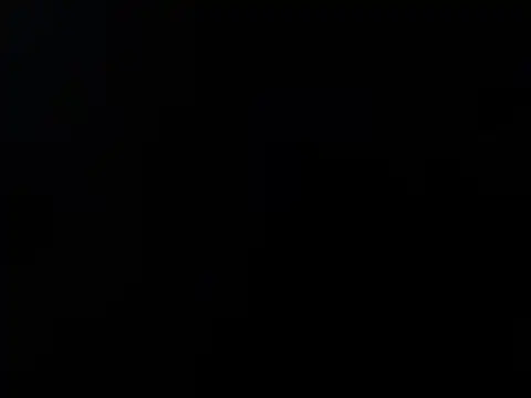 furry puss online show from 11, 11, 2025