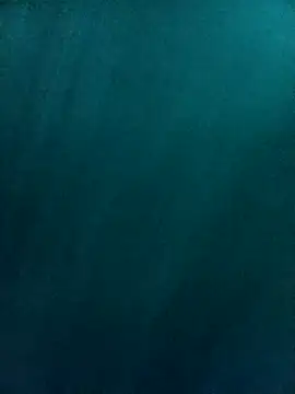 sarah dlo3a online show from 3, 4, 2026