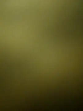 crazy boy55 online show from 15, 12, 2025