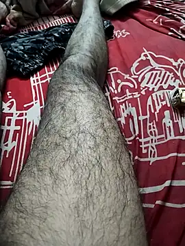 hyderabad single online show from 29, 11, 2025