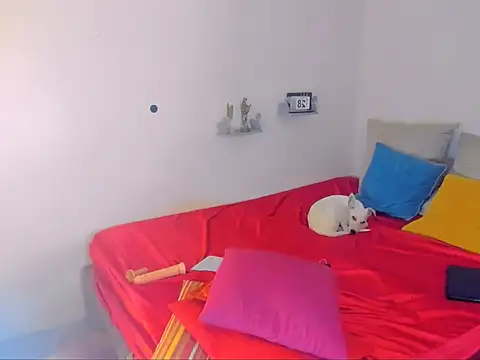 hotcassy online show from 25, 2, 2026