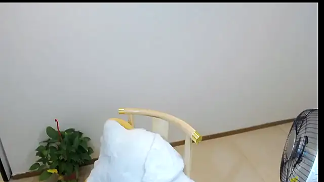 Shaurk online show from 23, 2, 2026