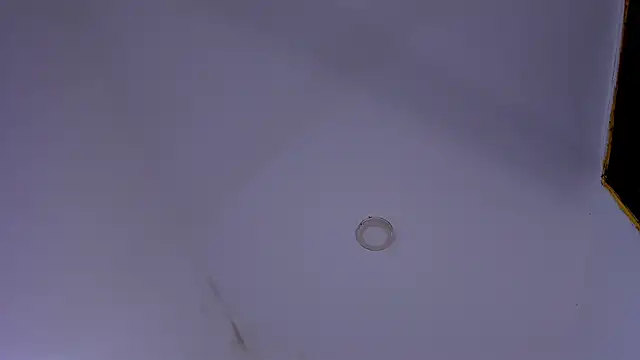 Snapshot of tiven-prince chatting on 10, 1, 2026 tiven-prince online show from 10, 1, 2026