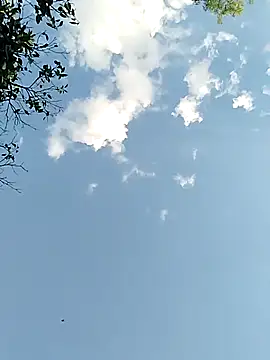 joselo2217 online show from 25, 11, 2025