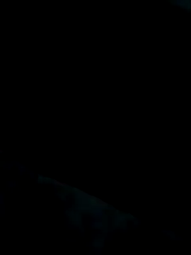 Heterobusca online show from 20, 11, 2025